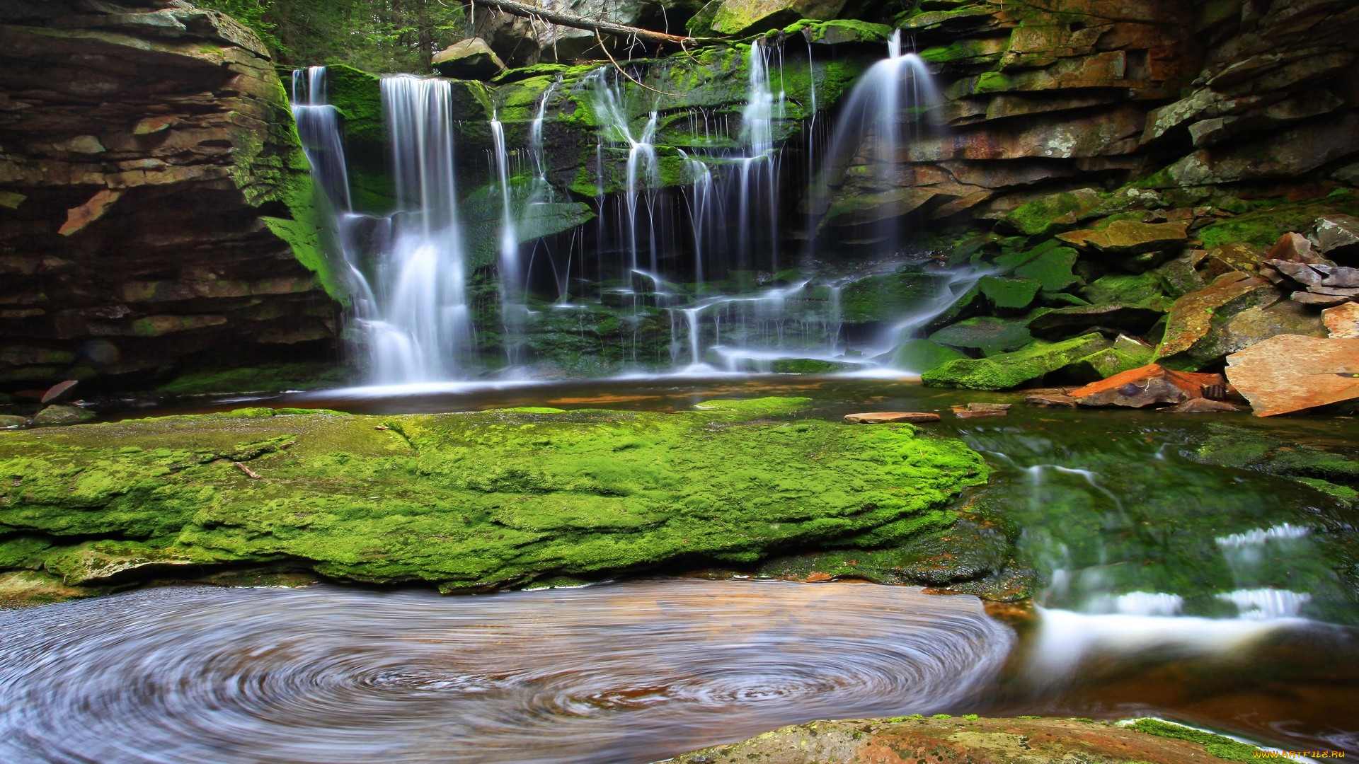 elakala falls, blackwater canyon, west virginia, , , elakala, falls, blackwater, canyon, west, virginia